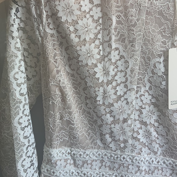 Roolee blush lace Dress - Picture 6 of 6